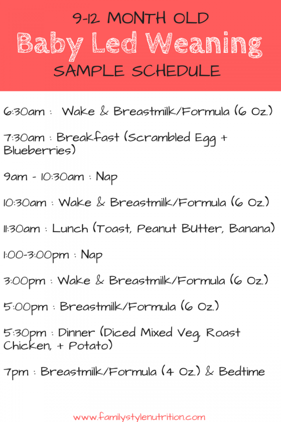 912 Months BLW Sample Schedule Family Style Nutrition