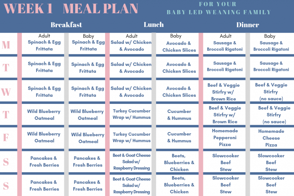 Baby Led Weaning Meal Plan Book